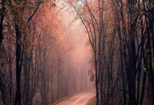 [高尔夫]沙特女子国际赛提提库大赢4杆提前庆生 何沐妮T8.