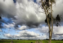 专访大连市委副书记刘宏：聆听城市的心跳和脉搏.