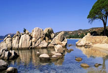 皮克：足球比赛要增加吸引力；喜欢亚马尔、佩德里和库巴西.